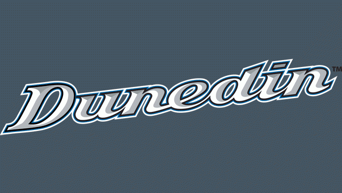 Dunedin Blue Jays wordmark logo 2004-2011 v2 iron on heat transfer